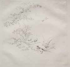 Parisian Service (Haviland service): Fog (no. 1), 1875. Creator: Félix Bracquemond (French, 1833-1914)