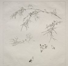 Parisian Service (Haviland service): Rain (no. 10), 1875. Creator: Félix Bracquemond (French, 1833-1914)