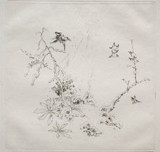 Parisian Service (Haviland service): Snow (no. 6), 1875. Creator: Félix Bracquemond (French, 1833-1914)