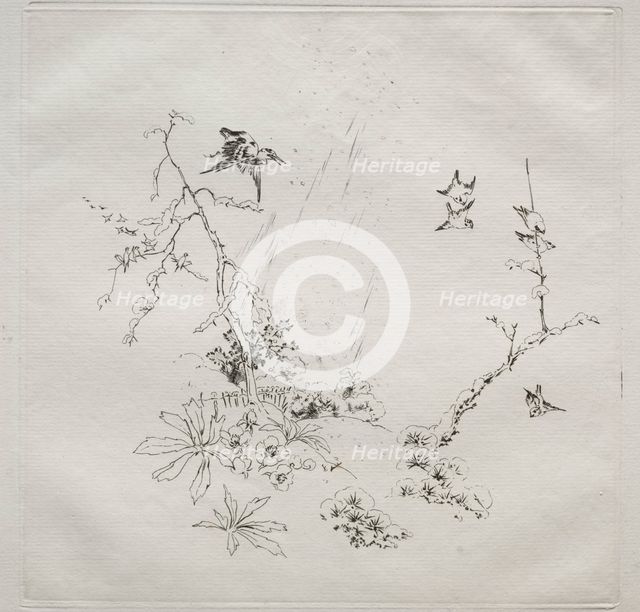 Parisian Service (Haviland service): Snow (no. 6), 1875. Creator: Félix Bracquemond (French, 1833-1914).