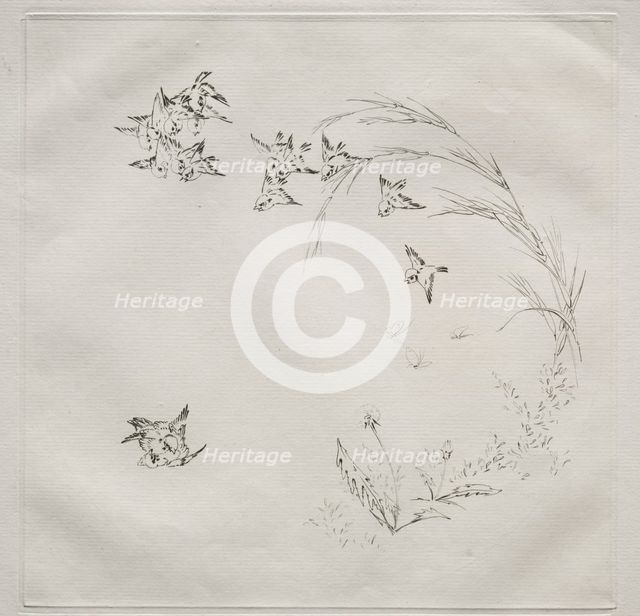 Parisian Service (Haviland service): The Fight (no. 2), 1875. Creator: Félix Bracquemond (French, 1833-1914).