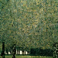 Park 1910. Artist: Gustav Klimt