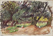 Park view from England, 1921. Creator: Alfred William Finch