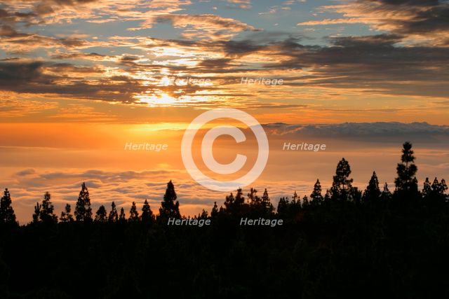 Parque Nacional del Teide, Tenerife, Canary Islands, 2007. Creator: Peter Thompson.