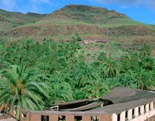 Parque Palmitos park, Gran Canaria, Canary Islands. Creator: Peter Thompson