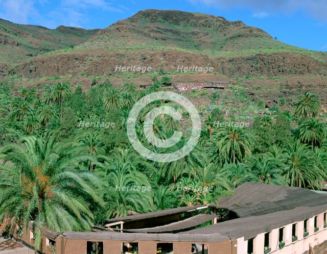 Parque Palmitos park, Gran Canaria, Canary Islands. Creator: Peter Thompson.