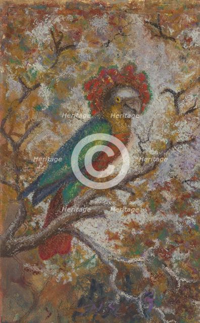 Parrot, 1909. Creator: William N. Buckner.