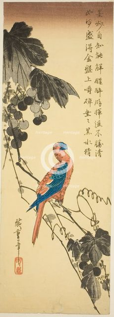 Parrot on a Grapevine, mid-1830s. Creator: Ando Hiroshige.