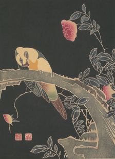 Parrot on the Branch of a Flowering Rose Bush, ca. 1900. Creator: Ito Jakuchu