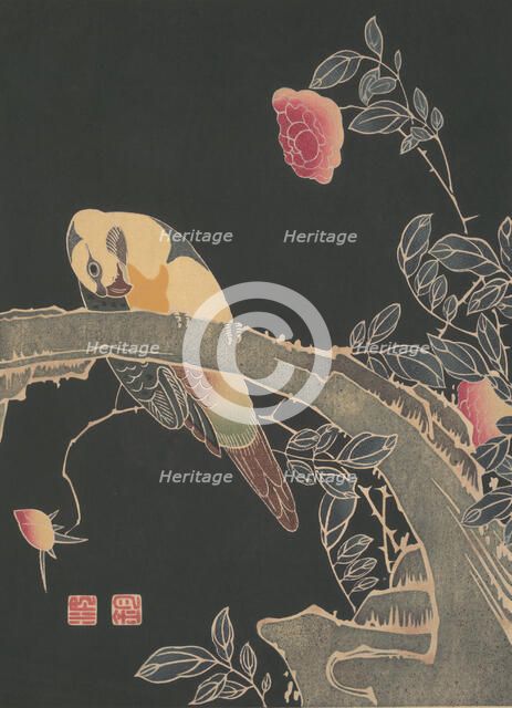 Parrot on the Branch of a Flowering Rose Bush, ca. 1900. Creator: Ito Jakuchu.