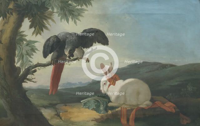 Parrot and Rabbit, 1750s. Creator: Johan Pasch.
