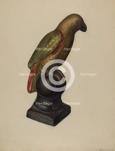 Parrot, c. 1937. Creator: Mina Lowry.
