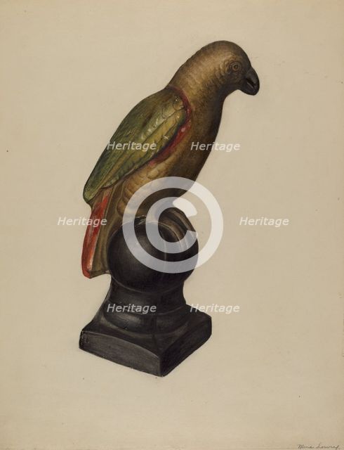 Parrot, c. 1937. Creator: Mina Lowry.