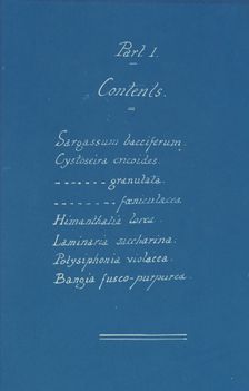 Part I Contents, ca. 1853. Creator: Anna Atkins