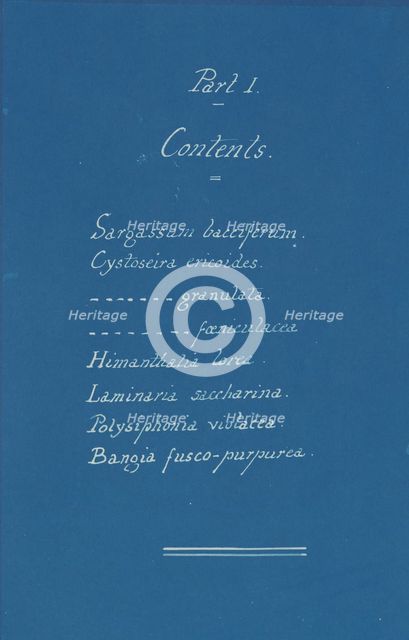 Part I Contents, ca. 1853. Creator: Anna Atkins.