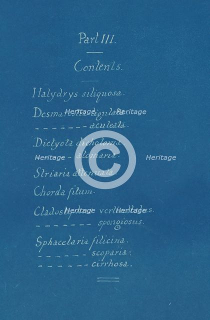 Part III Contents, ca. 1853. Creator: Anna Atkins.