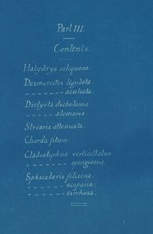 Part III Contents, ca. 1853. Creator: Anna Atkins