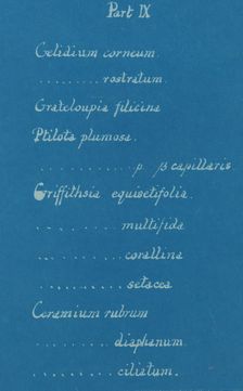 Part IX, ca. 1853. Creator: Anna Atkins