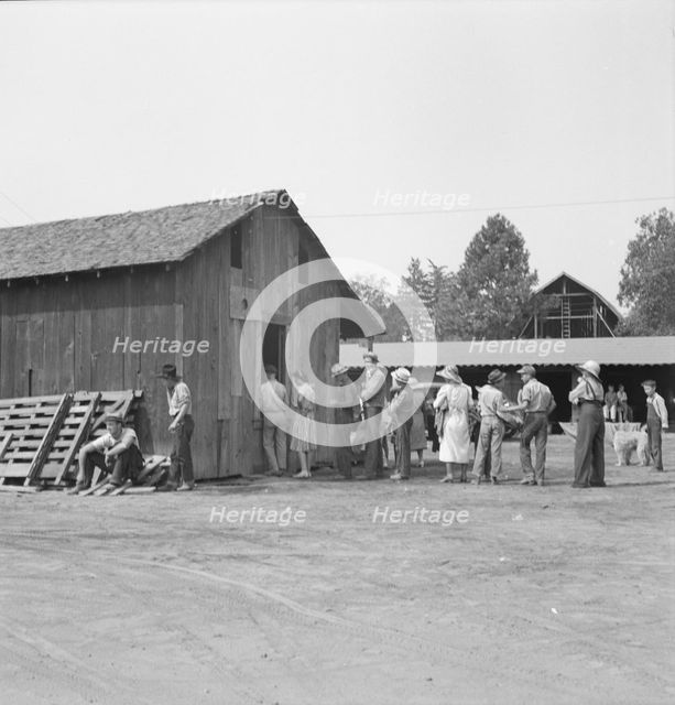 Part of the lineup at paymaster's window..., near Grants Pass, Oregon, 1939. Creator: Dorothea Lange.