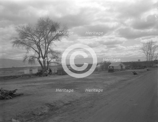 Part of a roadside ranch camp, twelve tents in this group, California, 1936. Creator: Dorothea Lange.