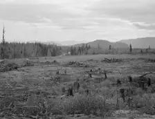 Part of eighty-acre farm showing cleared pasture land and uncleared piece,Bonner County,Idaho, 1939. Creator: Dorothea Lange