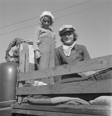 Part of family come for work in potatoes, Tulelake, Siskiyou County, California, 1939. Creator: Dorothea Lange