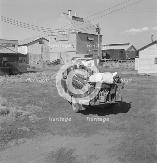 Part of family come for work in potatoes, Tulelake, Siskiyou County, California, 1939. Creator: Dorothea Lange.