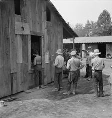 Part of line up at paymaster's window at noon..., near Grants Pass, Josephine County, Oregon, 1939. Creator: Dorothea Lange