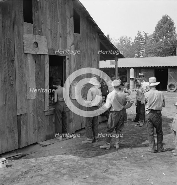 Part of line up at paymaster's window at noon..., near Grants Pass, Josephine County, Oregon, 1939. Creator: Dorothea Lange.