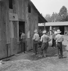 Part of line up at paymaster's window at noon..., near Grants Pass, Josephine County, Oregon, 1939. Creator: Dorothea Lange