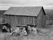Part of stump farm, near Michigan Hill, Thurston County, Western Washington, 1939. Creator: Dorothea Lange