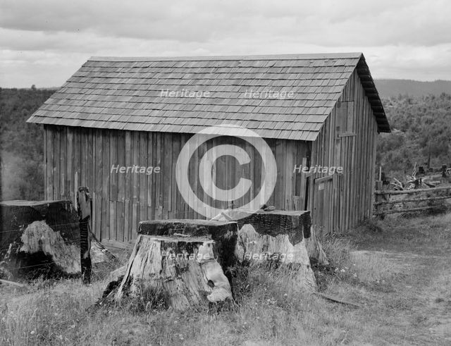Part of stump farm, near Michigan Hill, Thurston County, Western Washington, 1939. Creator: Dorothea Lange.