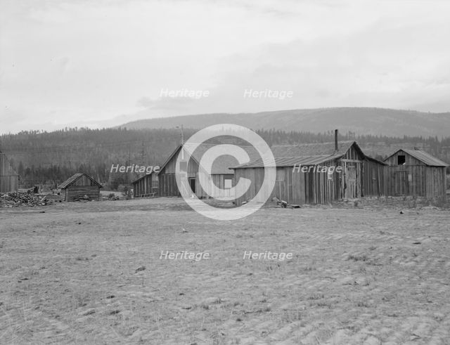 Partially-developed stump ranch seen across cleared grain field, Boundary County, Idaho, 1939. Creator: Dorothea Lange.