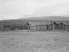 Partially-developed stump ranch seen across cleared grain field, Boundary County, Idaho, 1939. Creator: Dorothea Lange