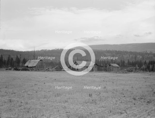 Partially-developed stump ranch seen across cleared grain field, Boundary County, Idaho, 1939. Creator: Dorothea Lange.
