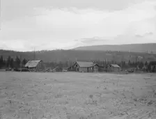 Partially-developed stump ranch seen across cleared grain field, Boundary County, Idaho, 1939. Creator: Dorothea Lange