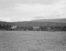 Partially-developed stump ranch seen across cleared grain field, Boundary County, Idaho, 1939. Creator: Dorothea Lange