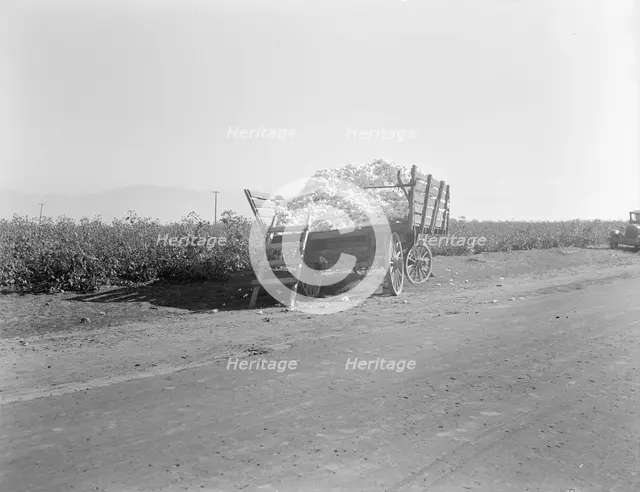 Partially loaded cotton wagon, Southern San Joaquin Valley, California, 1936. Creator: Dorothea Lange.