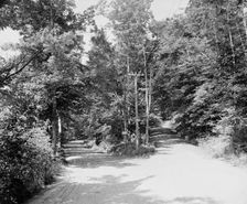 Parting of the ways, Dublin, N.H., c1905. Creator: Unknown