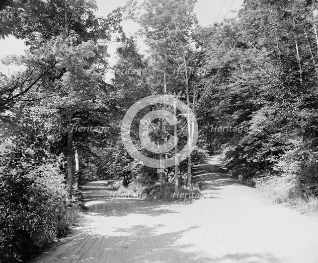 Parting of the ways, Dublin, N.H., c1905. Creator: Unknown.