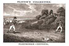 Partridge-Netting (1924). Creator: Unknown