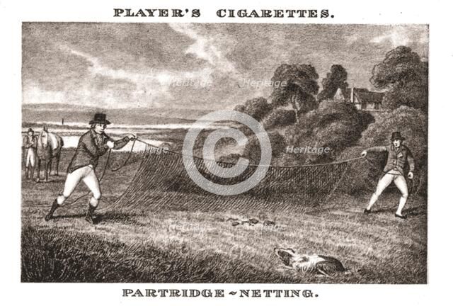 'Partridge-Netting', (1924). Creator: Unknown.