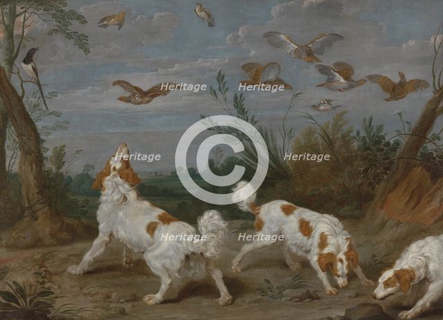 Partridge Hunt, c1610-1650. Creator: Jan Wildens.