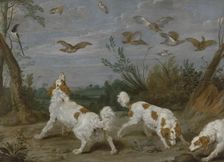 Partridge Hunt, c1610-1650. Creator: Jan Wildens