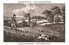 Partridge-Shooting (1924). Creator: Unknown