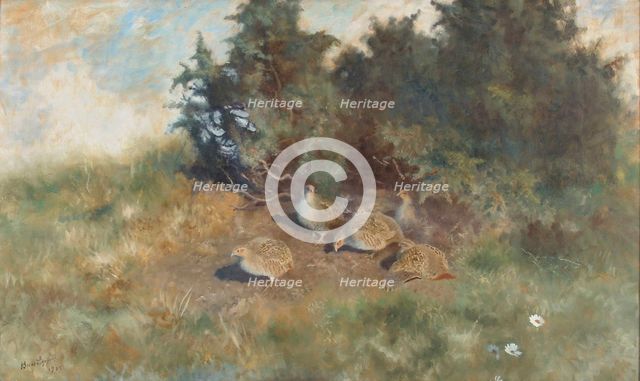 Partridges, 1922. Creator: Bruno Liljefors.
