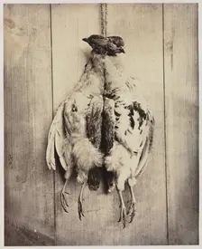 Partridges (recto); L.D. Campbell's Tomb (verso), c. 1861. Creator: Captain N. Baily (British); John Hamilton Craigie (British)
