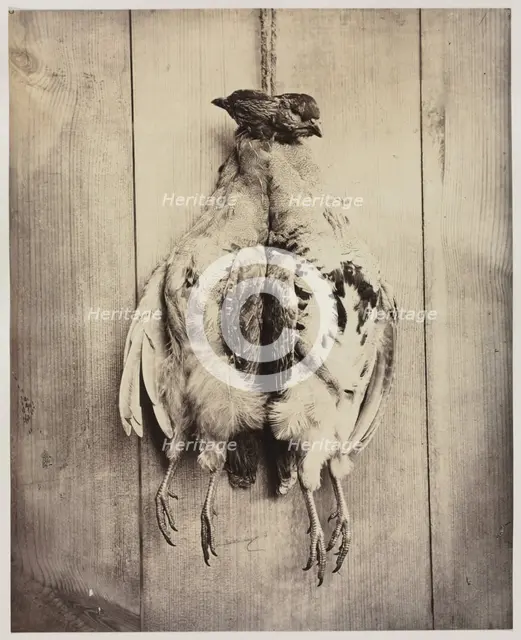 Partridges (recto); L.D. Campbell's Tomb (verso), c. 1861. Creator: Captain N. Baily (British); John Hamilton Craigie (British).