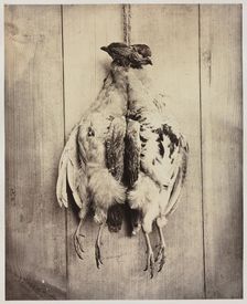 Partridges (recto); L.D. Campbell's Tomb (verso), c. 1861. Creator: Captain N. Baily (British); John Hamilton Craigie (British)