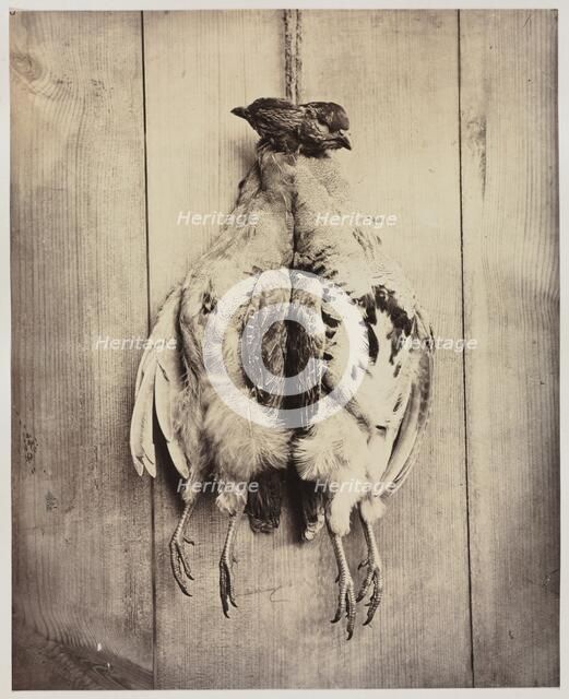 Partridges (recto); L.D. Campbell's Tomb (verso), c. 1861. Creator: Captain N. Baily (British); John Hamilton Craigie (British).